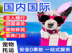 沈阳机场空运国际宠物托运 【国
